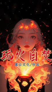 《玩火自焚》全文免费章节在线试读 小七林烬小说