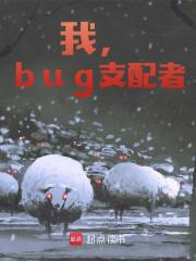《我，bug支配者》白皖张艳芳章节目录免费试读
