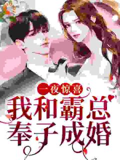 《一夜惊喜，我和霸总奉子成婚》舒年傅宴深全文免费试读