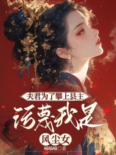 《夫君为了攀上县主，污蔑我是风尘女》沈林荣安章节免费阅读