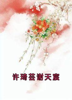 《许琦芸谢天宸》小说完结版精彩阅读 谢天宸许琦芸小说阅读